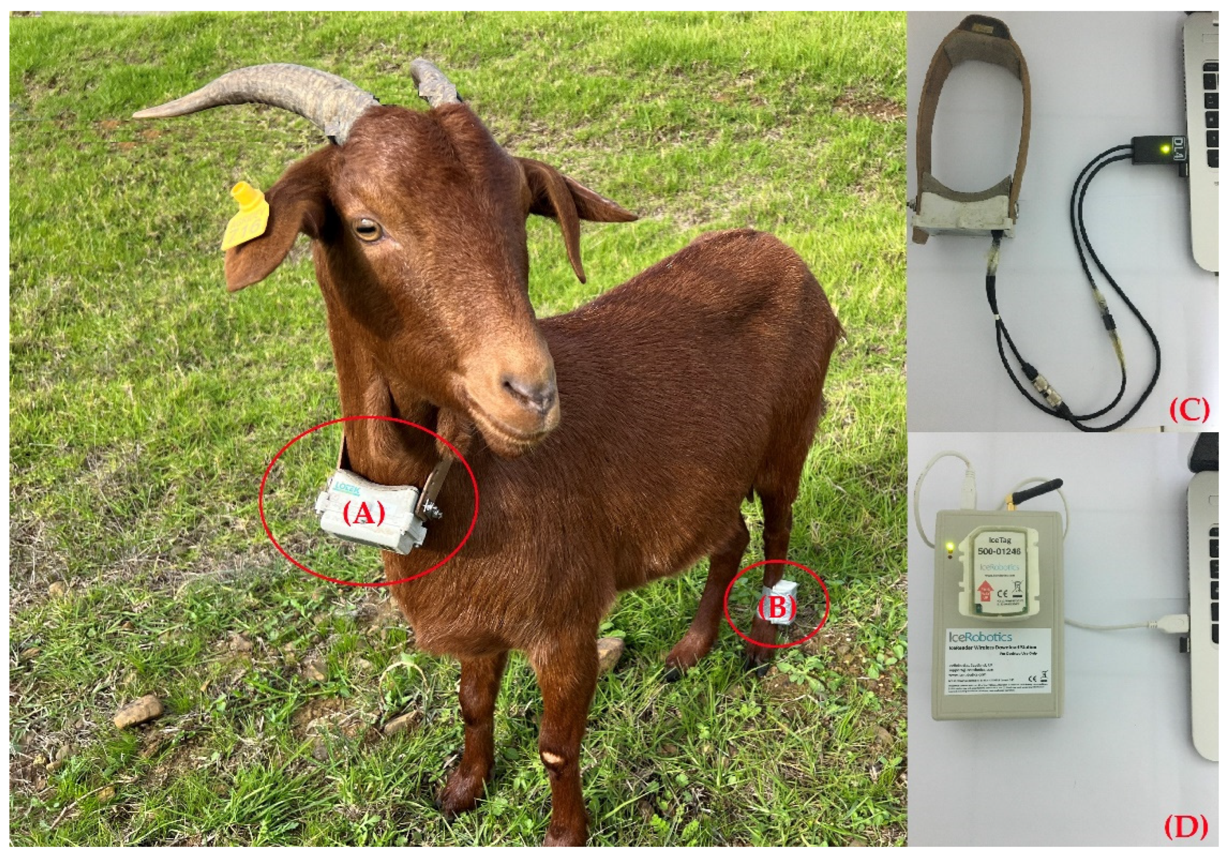 Sensors 22 00781 g002