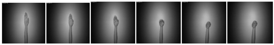 Sensors 22 00803 i009