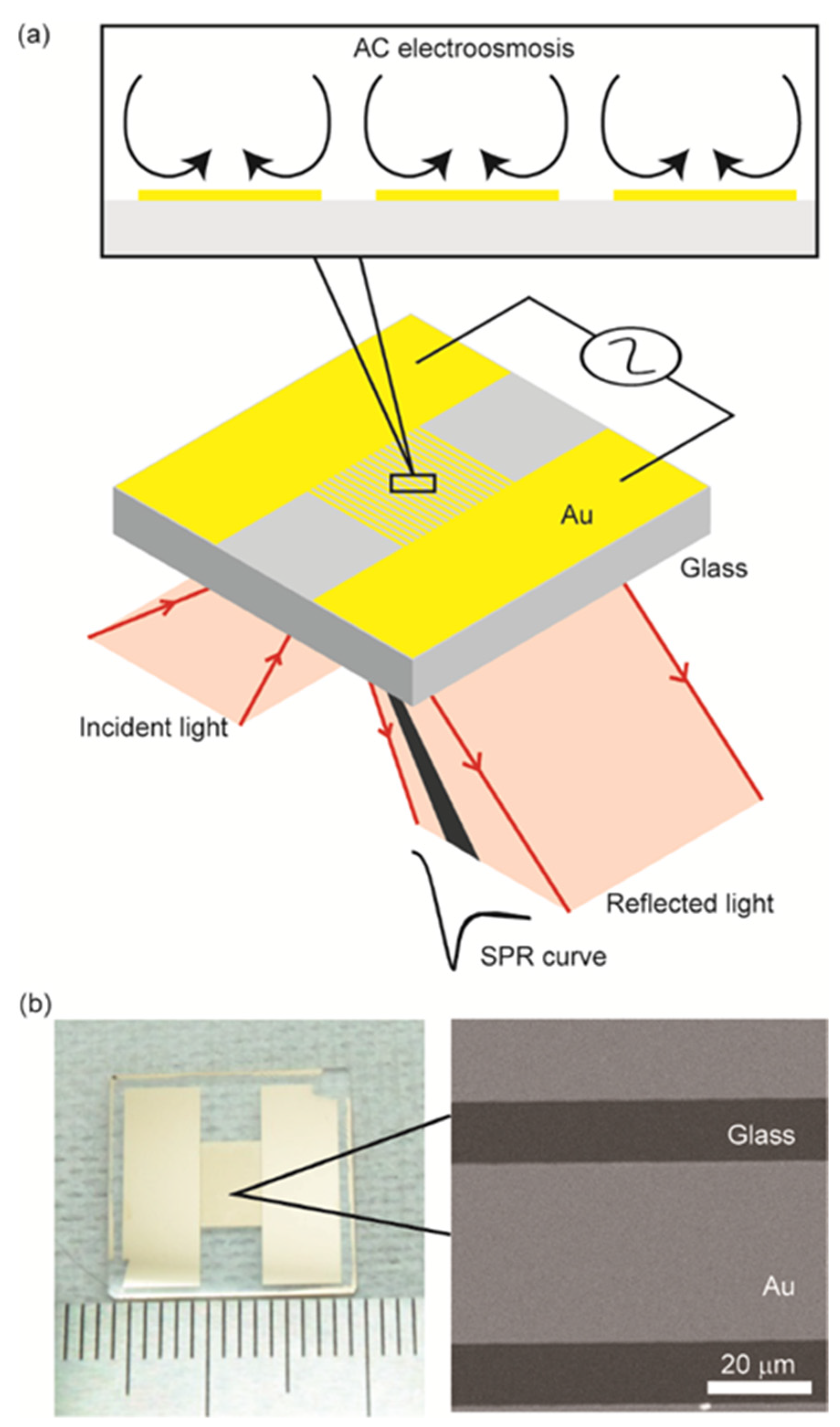 Sensors 22 00854 g001
