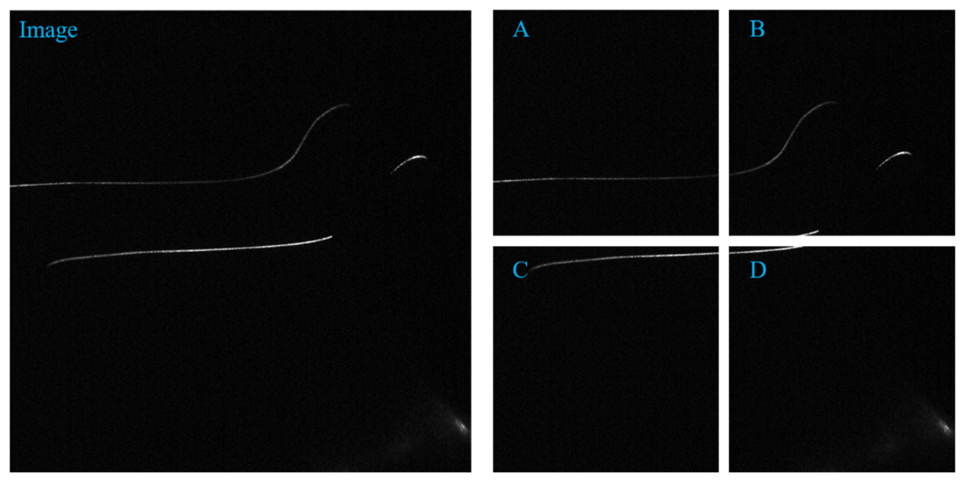 Sensors 22 00859 g002