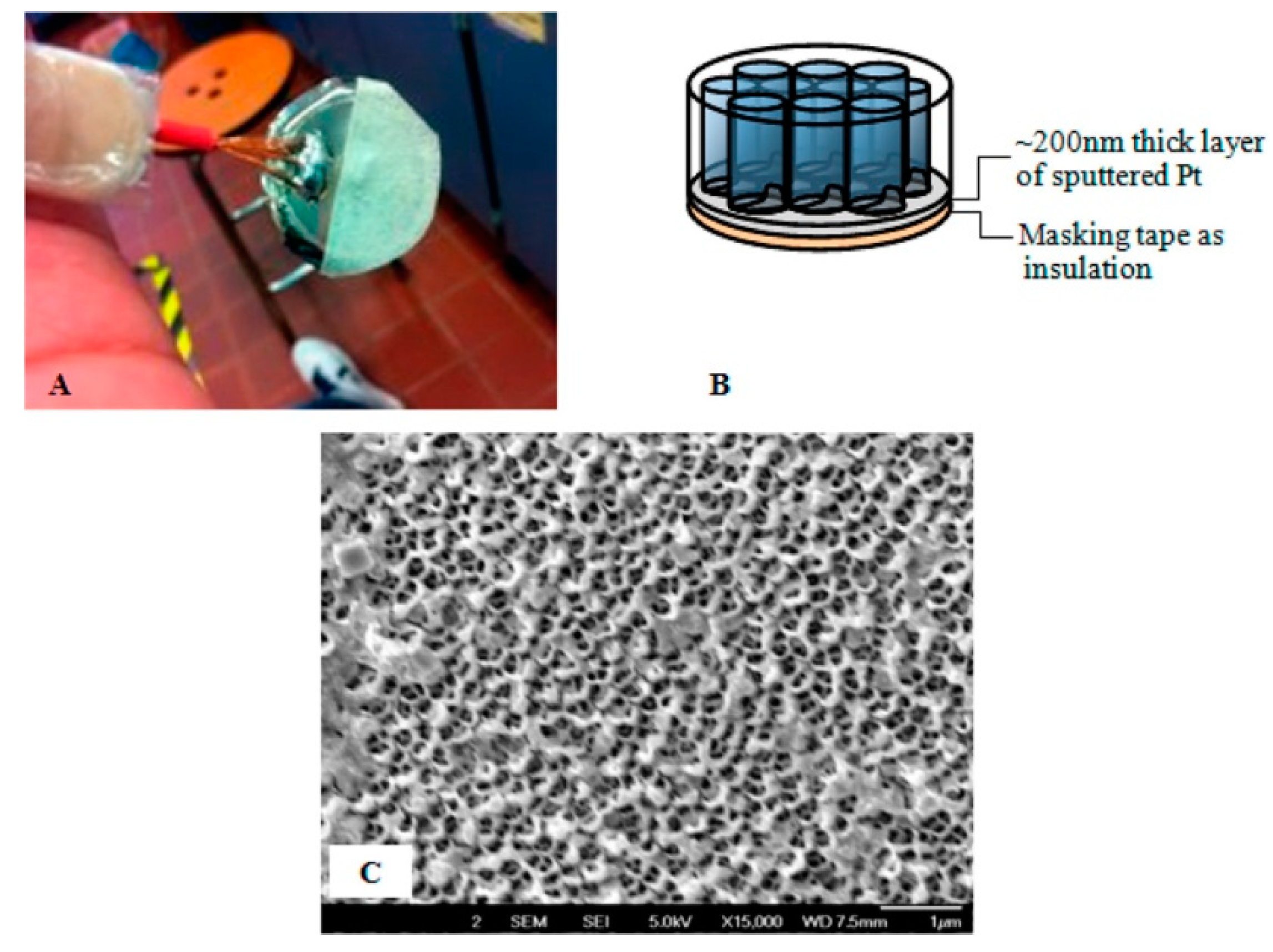 Sensors 22 00895 g007