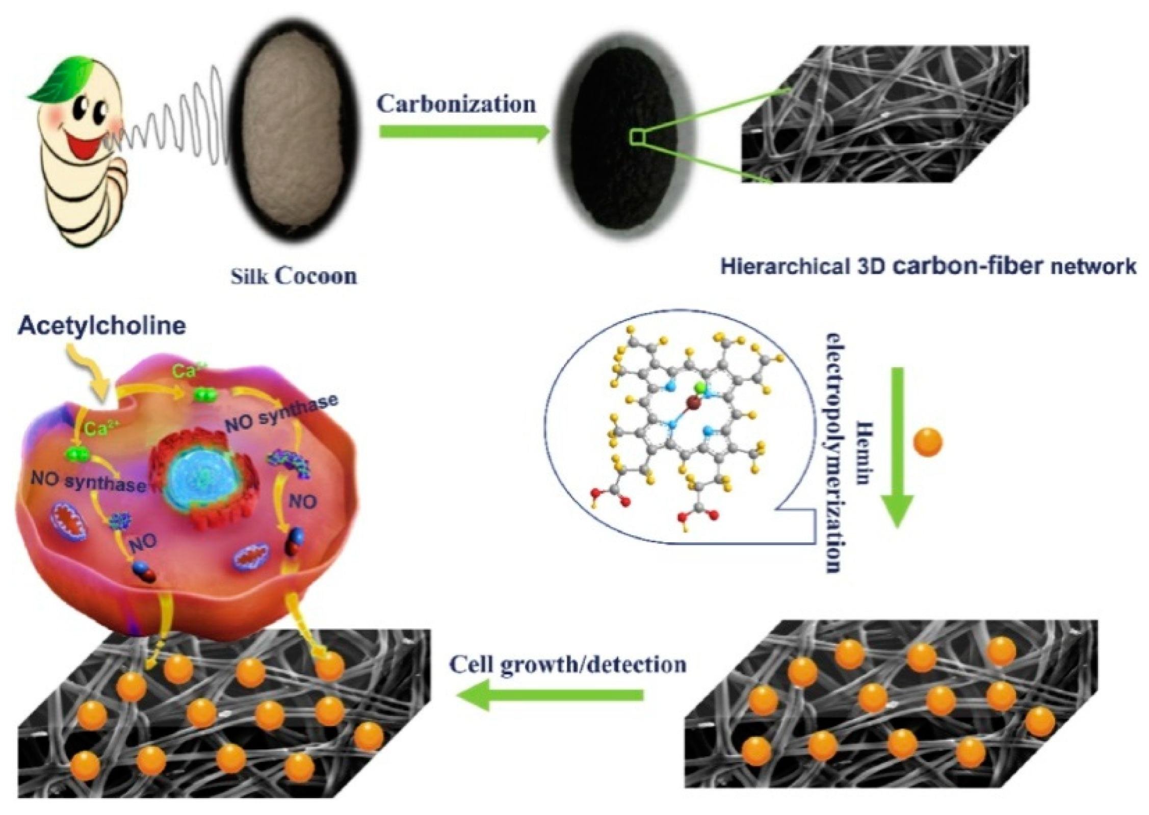 Sensors 22 00895 g012