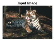 Sensors 22 00906 i025