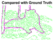 Sensors 22 00906 i028