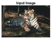 Sensors 22 00906 i029