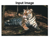 Sensors 22 00906 i033