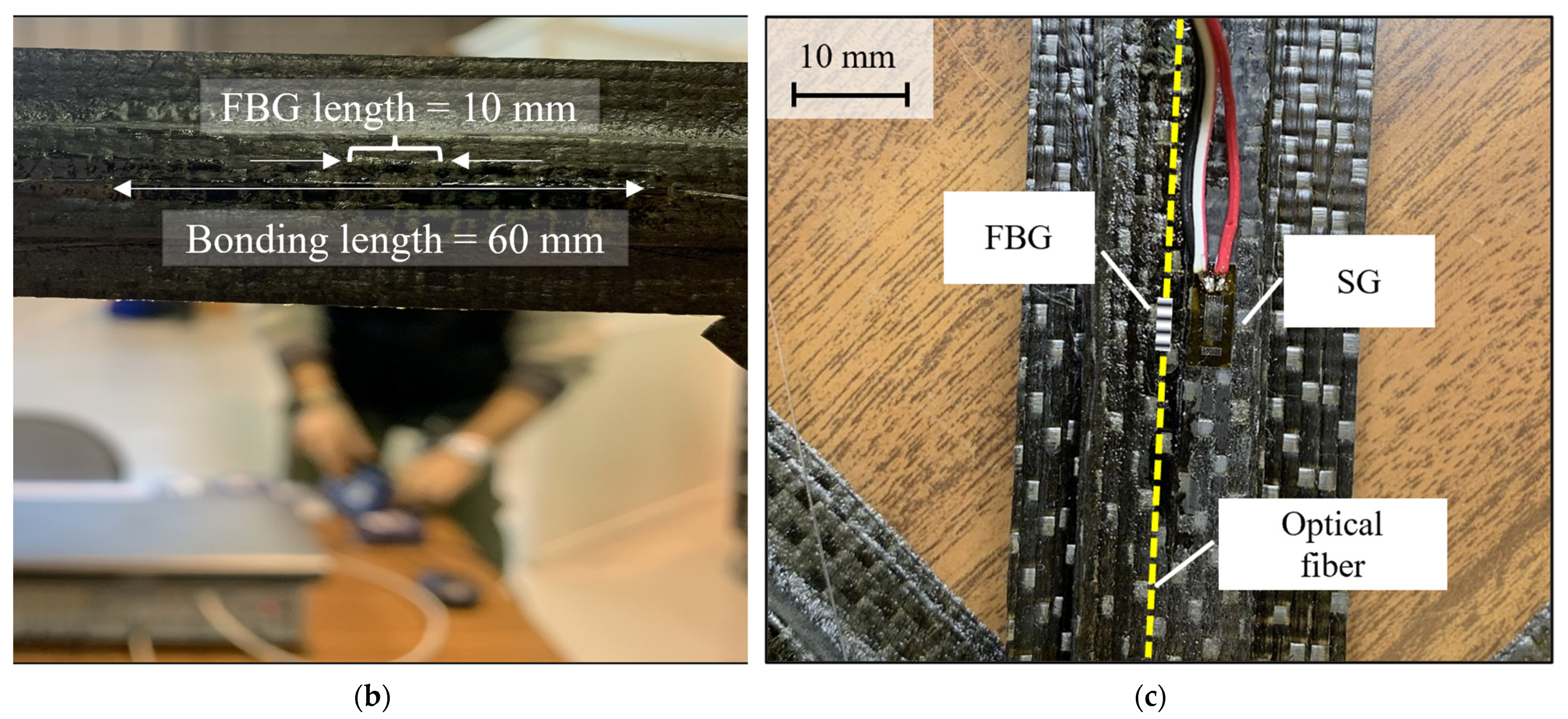 Sensors 22 00946 g003b