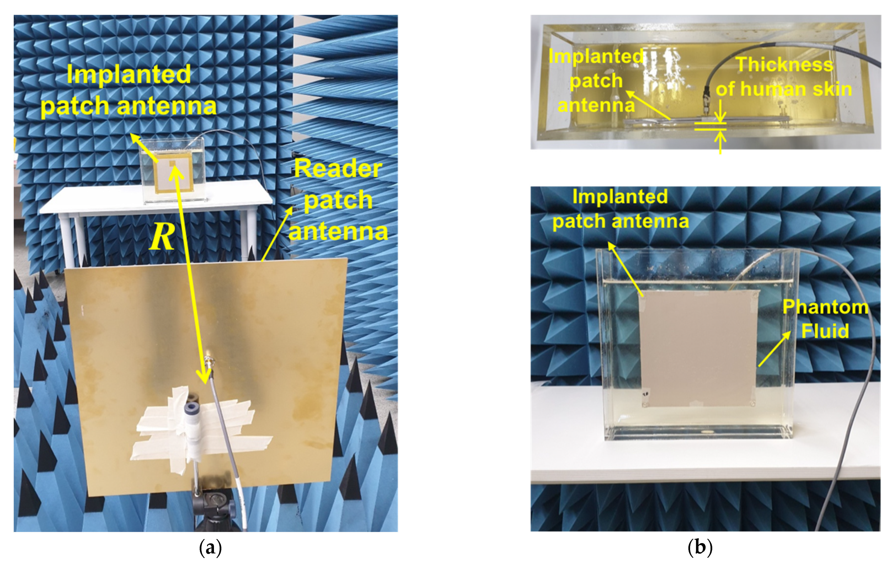 Sensors 22 00947 g007