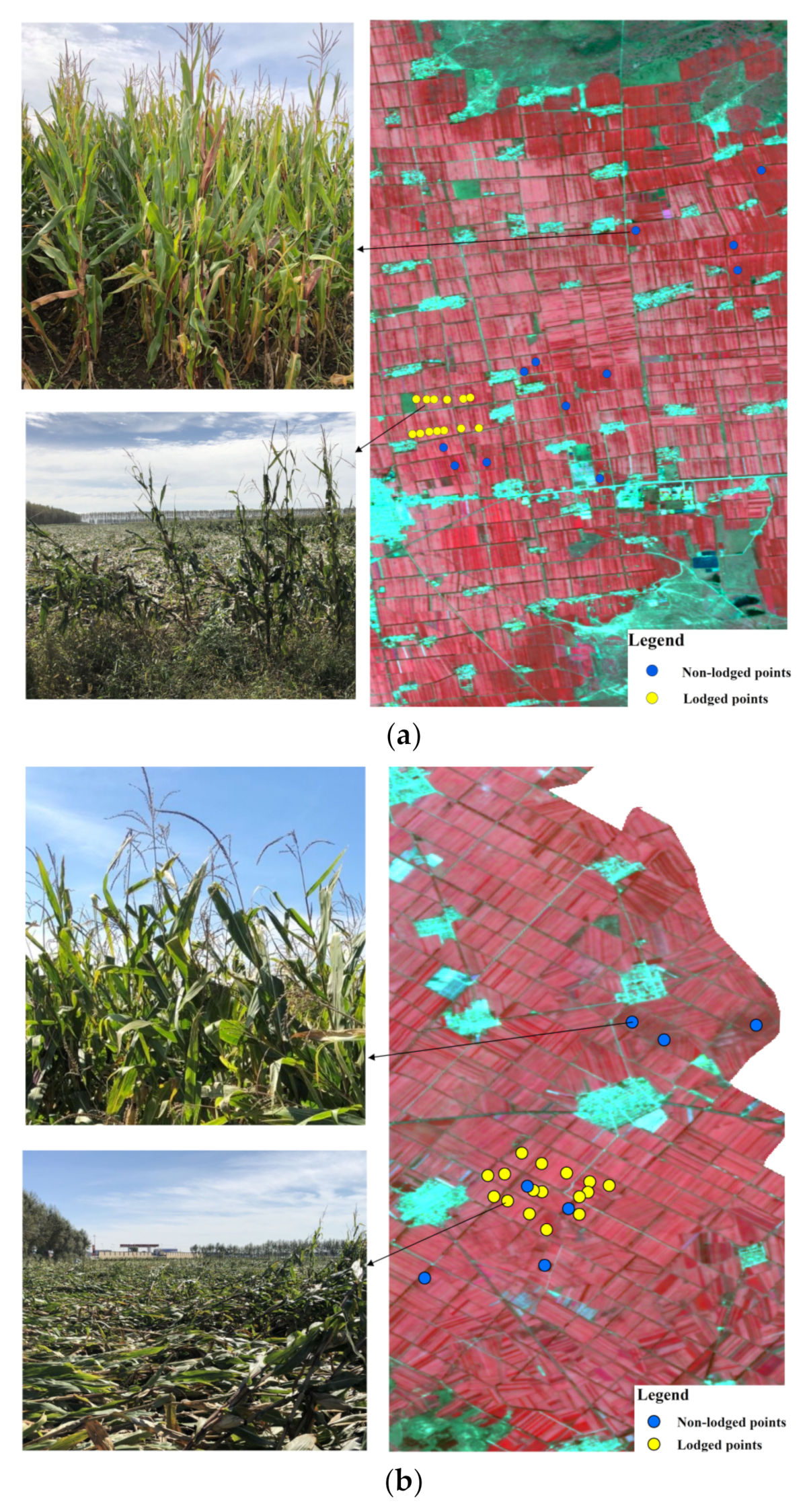 Sensors 22 00989 g003