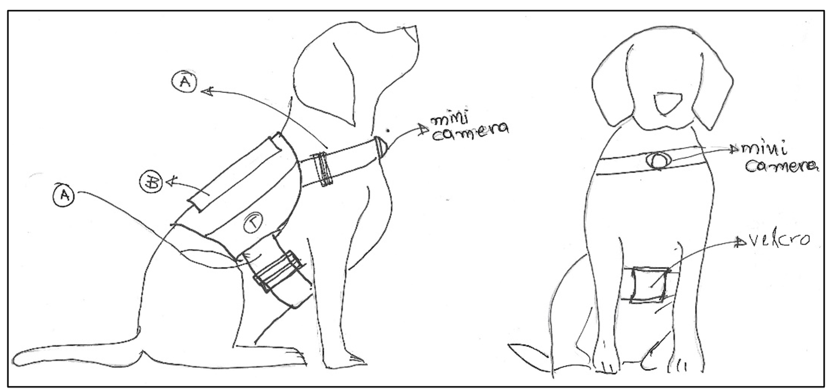 Sensors 22 00993 g002