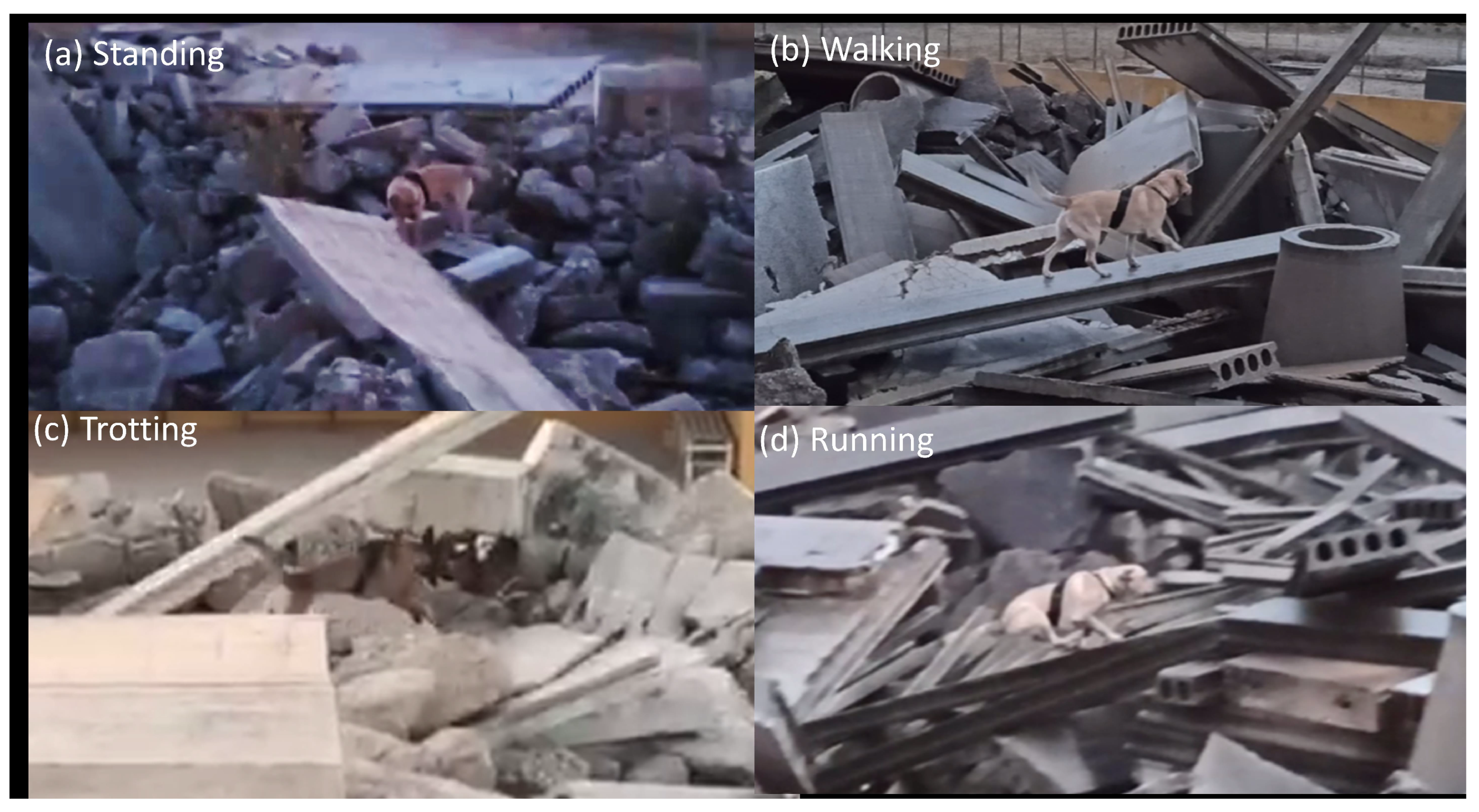 Sensors 22 00993 g006