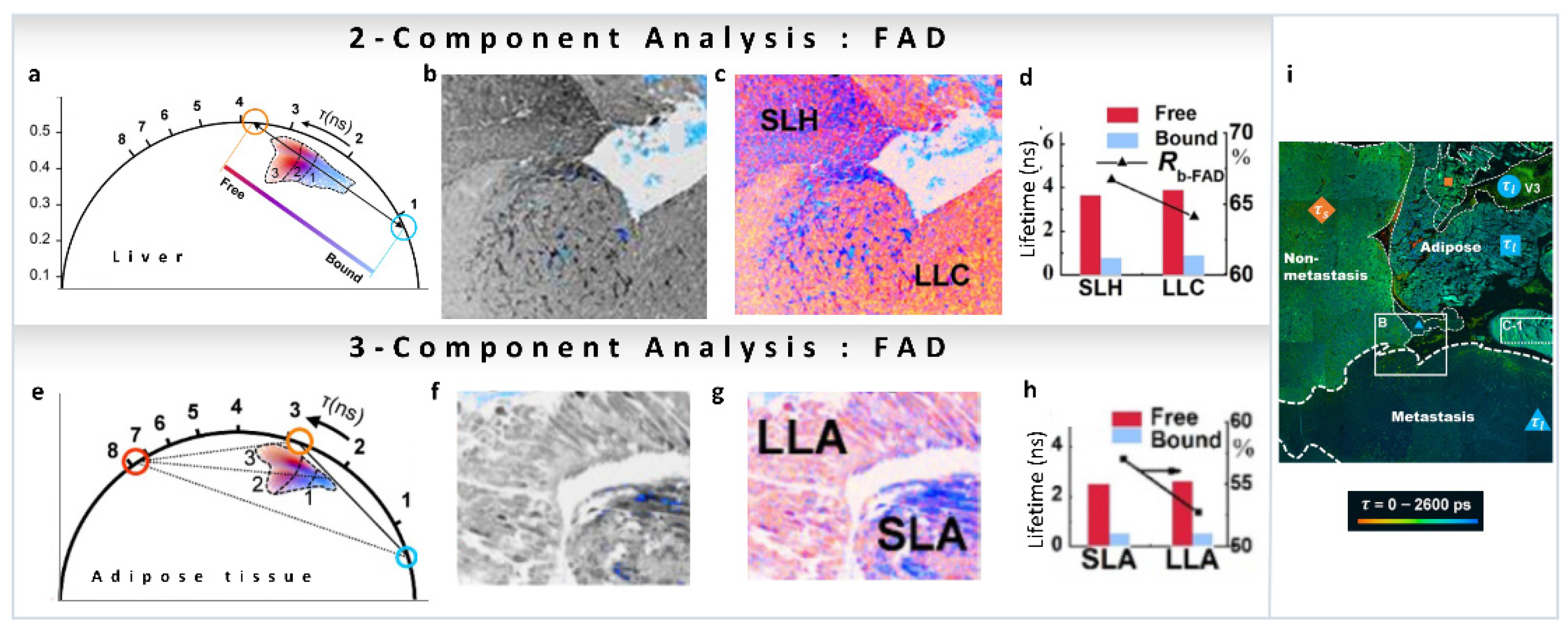 Sensors 22 00999 g009