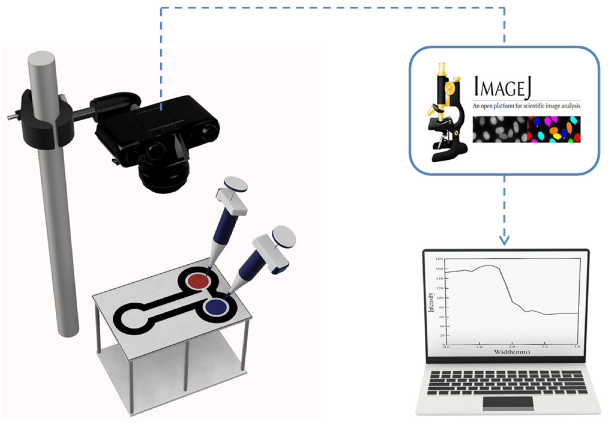 Sensors 22 01028 g003