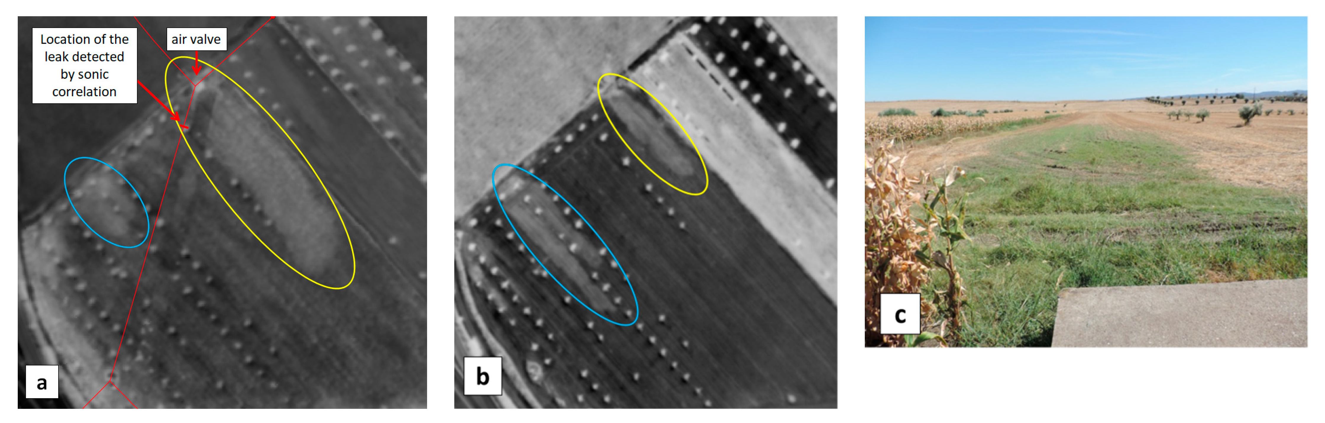 Sensors 22 01057 g017