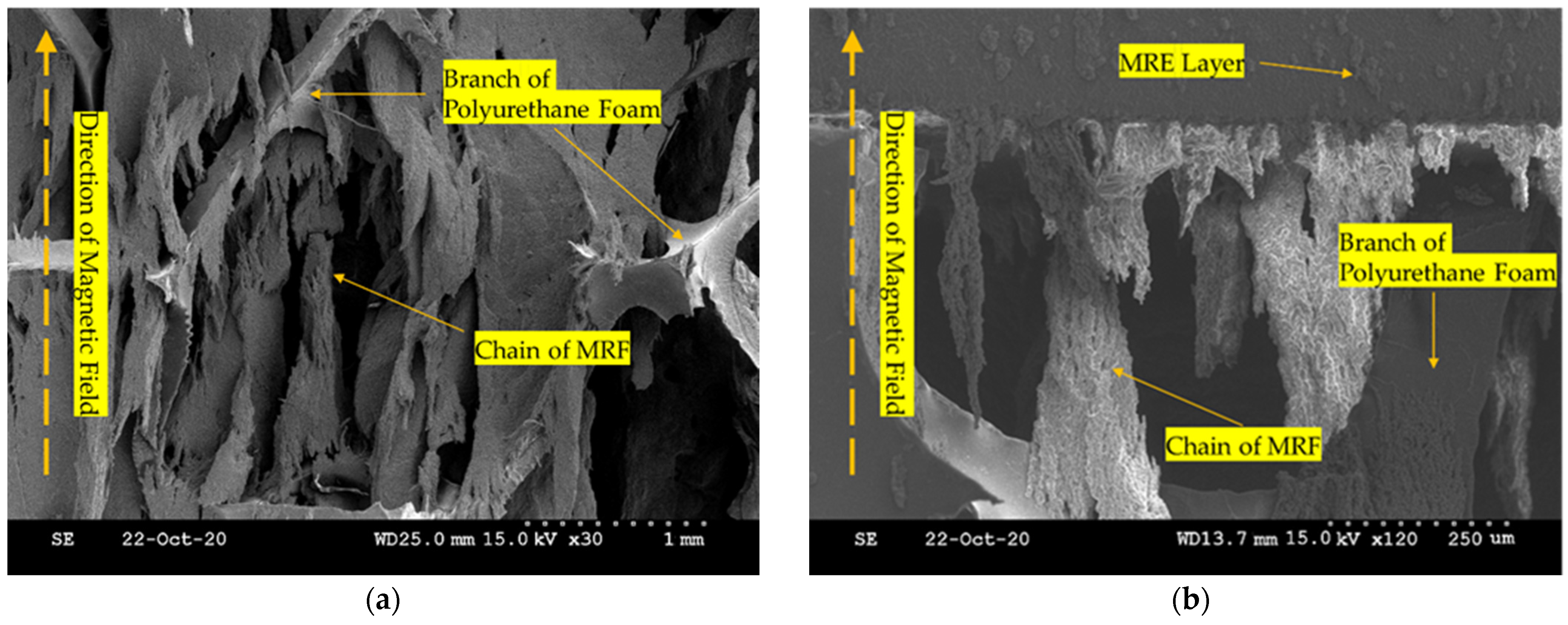 Sensors 22 01085 g006