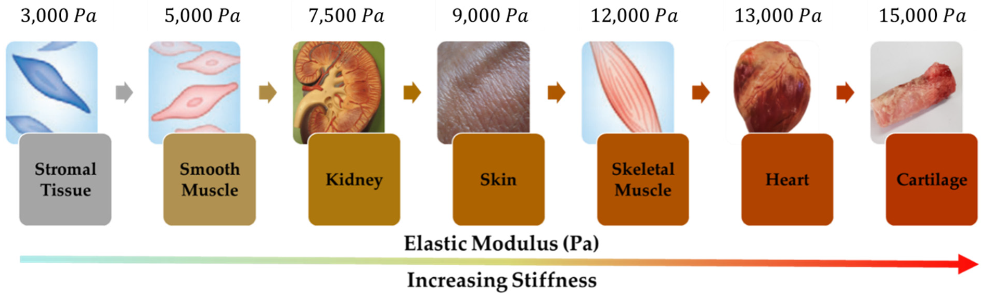 Sensors 22 01085 g011