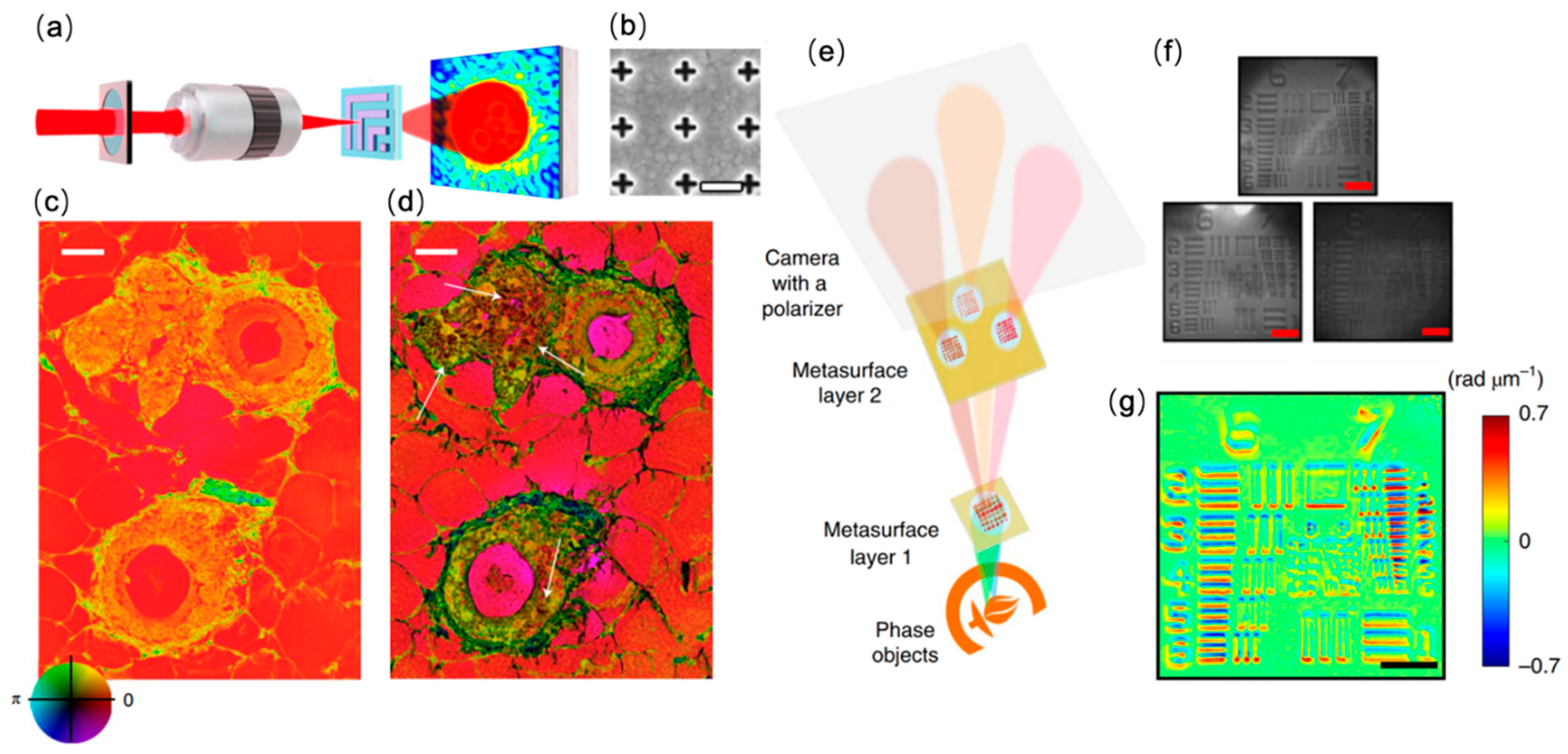 Sensors 22 01086 g001