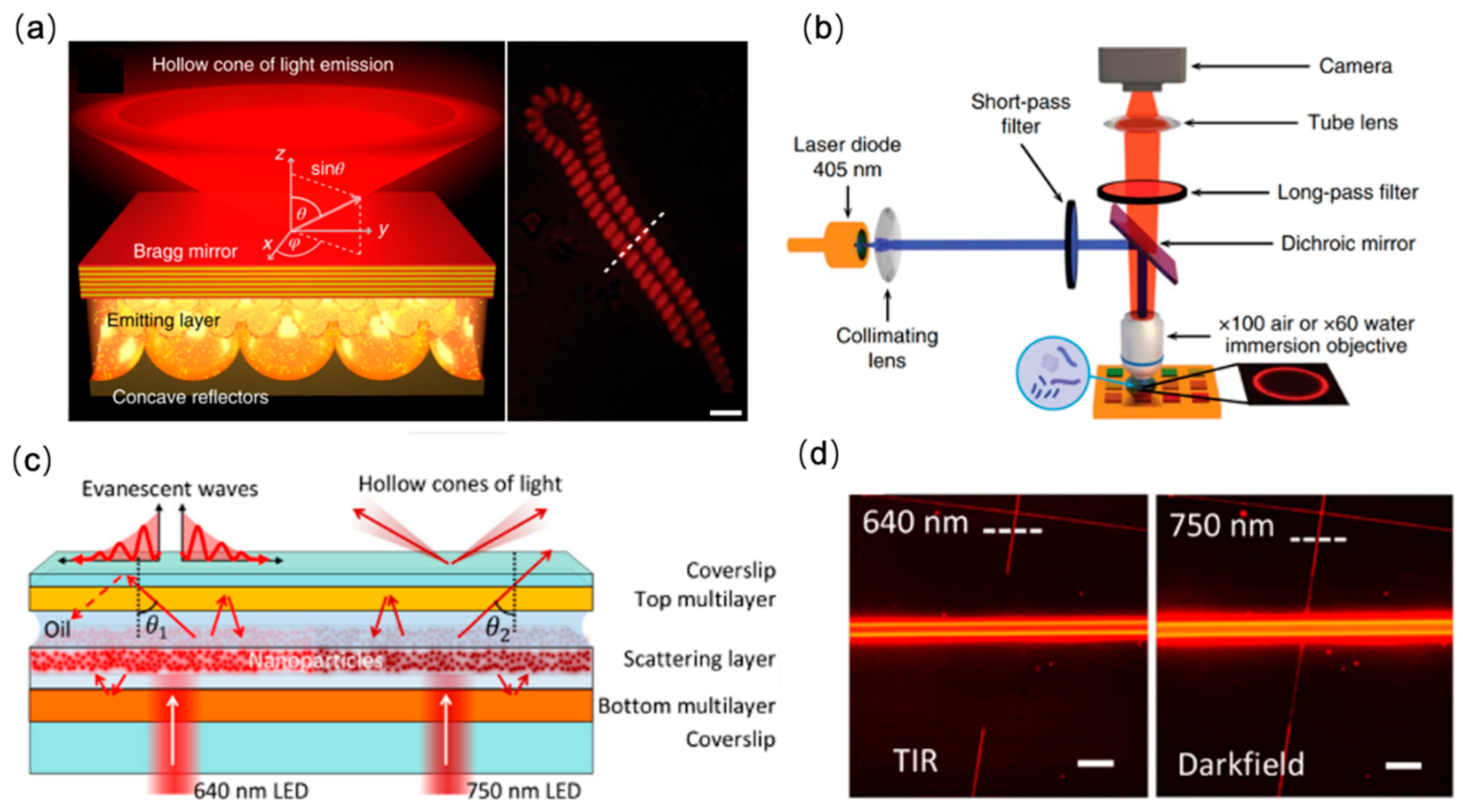 Sensors 22 01086 g002