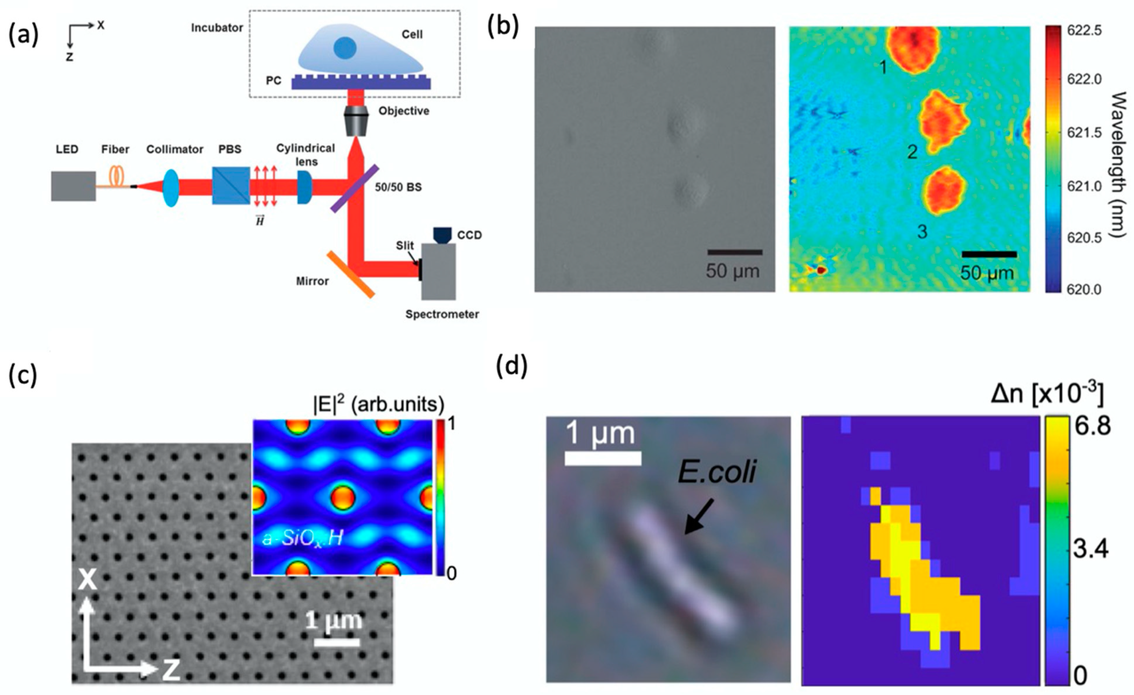 Sensors 22 01086 g004
