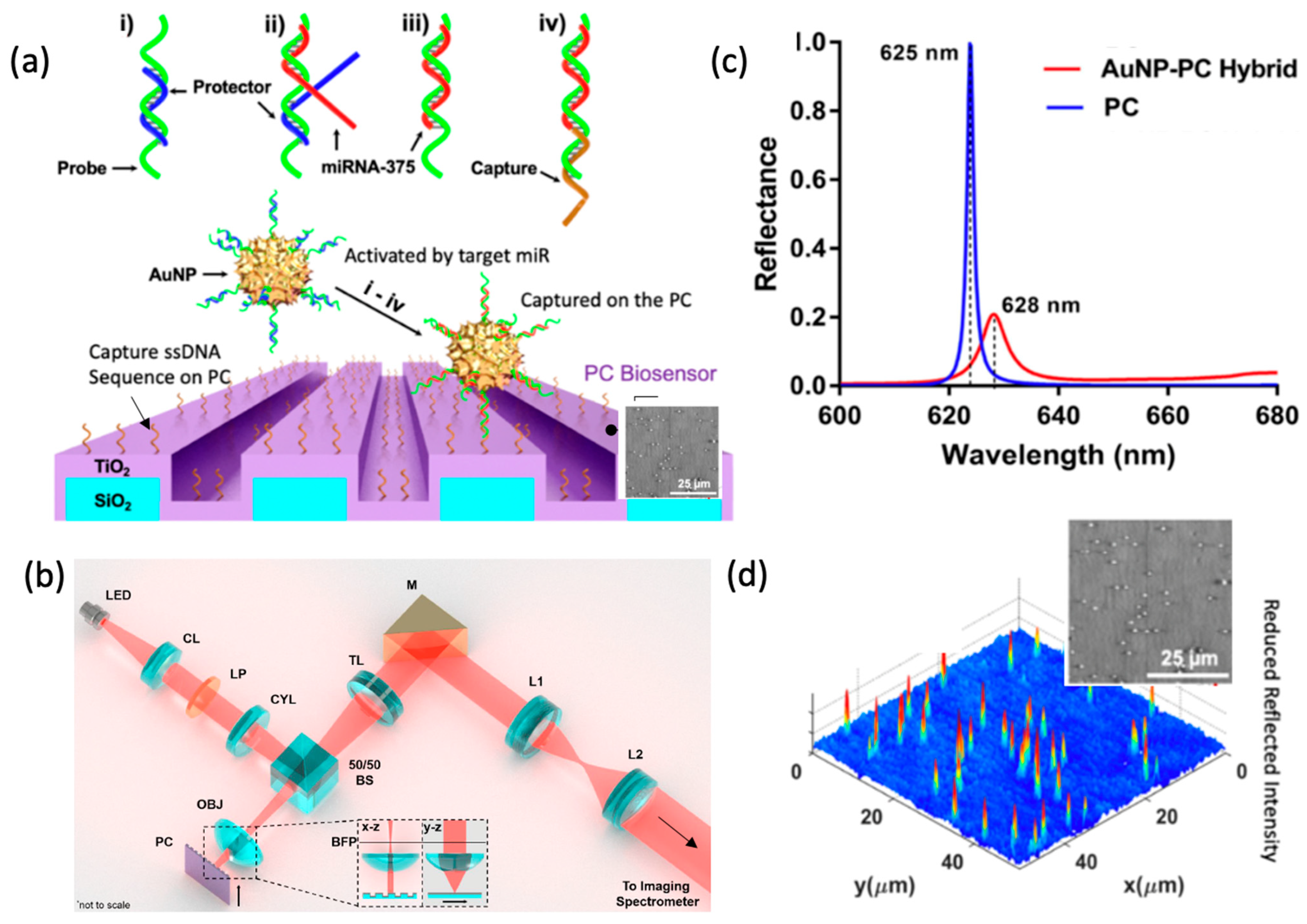 Sensors 22 01086 g007