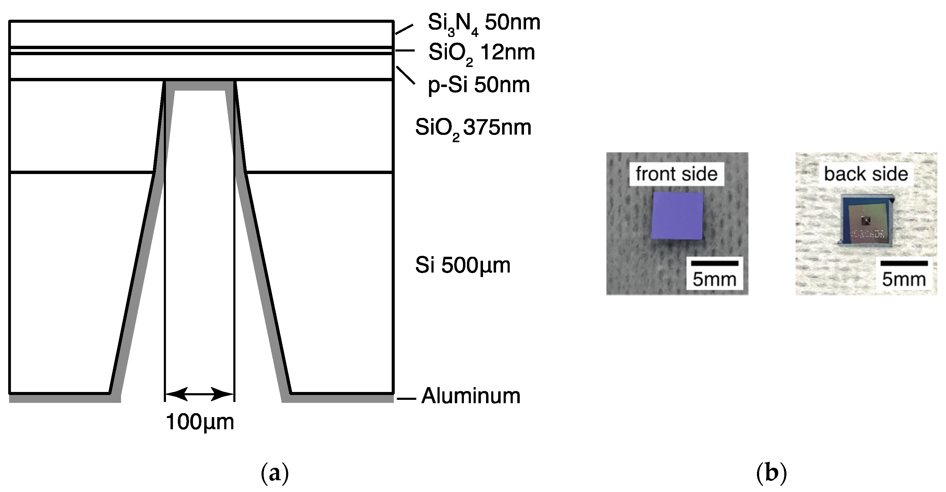Sensors 22 01112 g004