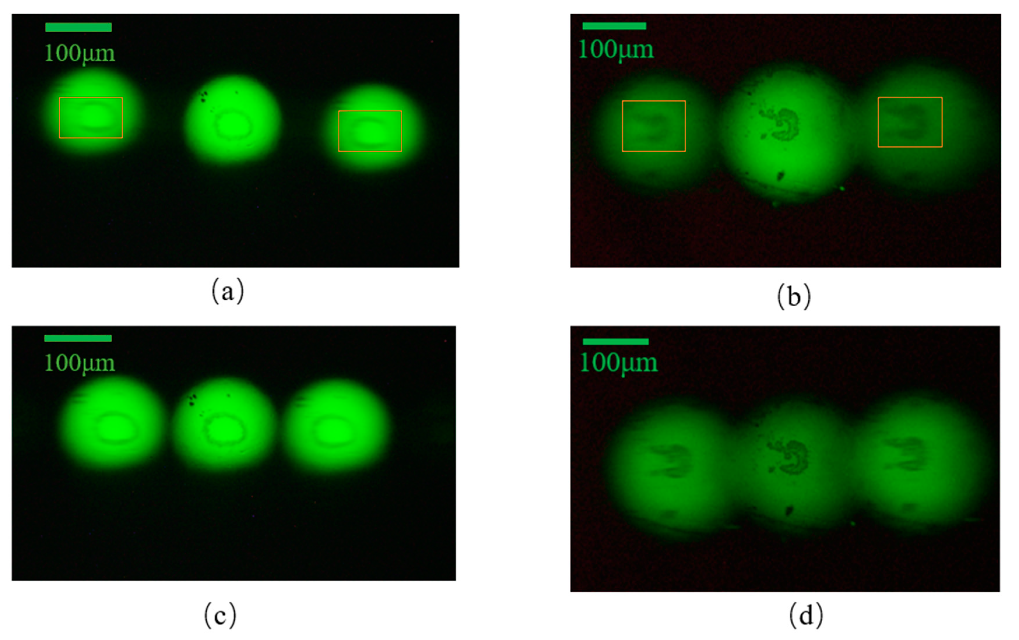 Sensors 22 01113 g015
