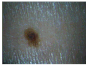 Sensors 22 01123 i001