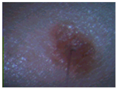 Sensors 22 01123 i002