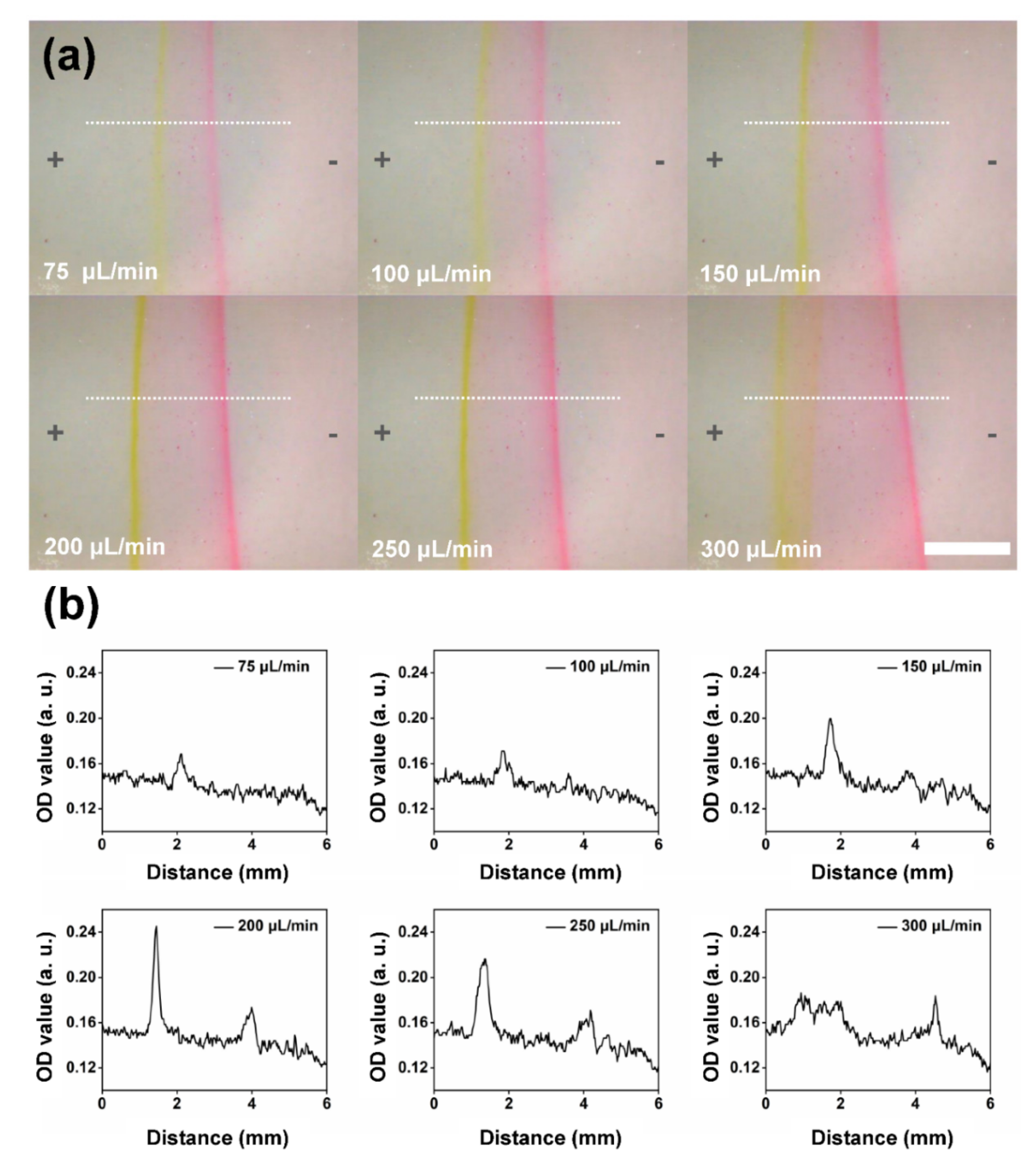 Sensors 22 01124 g005