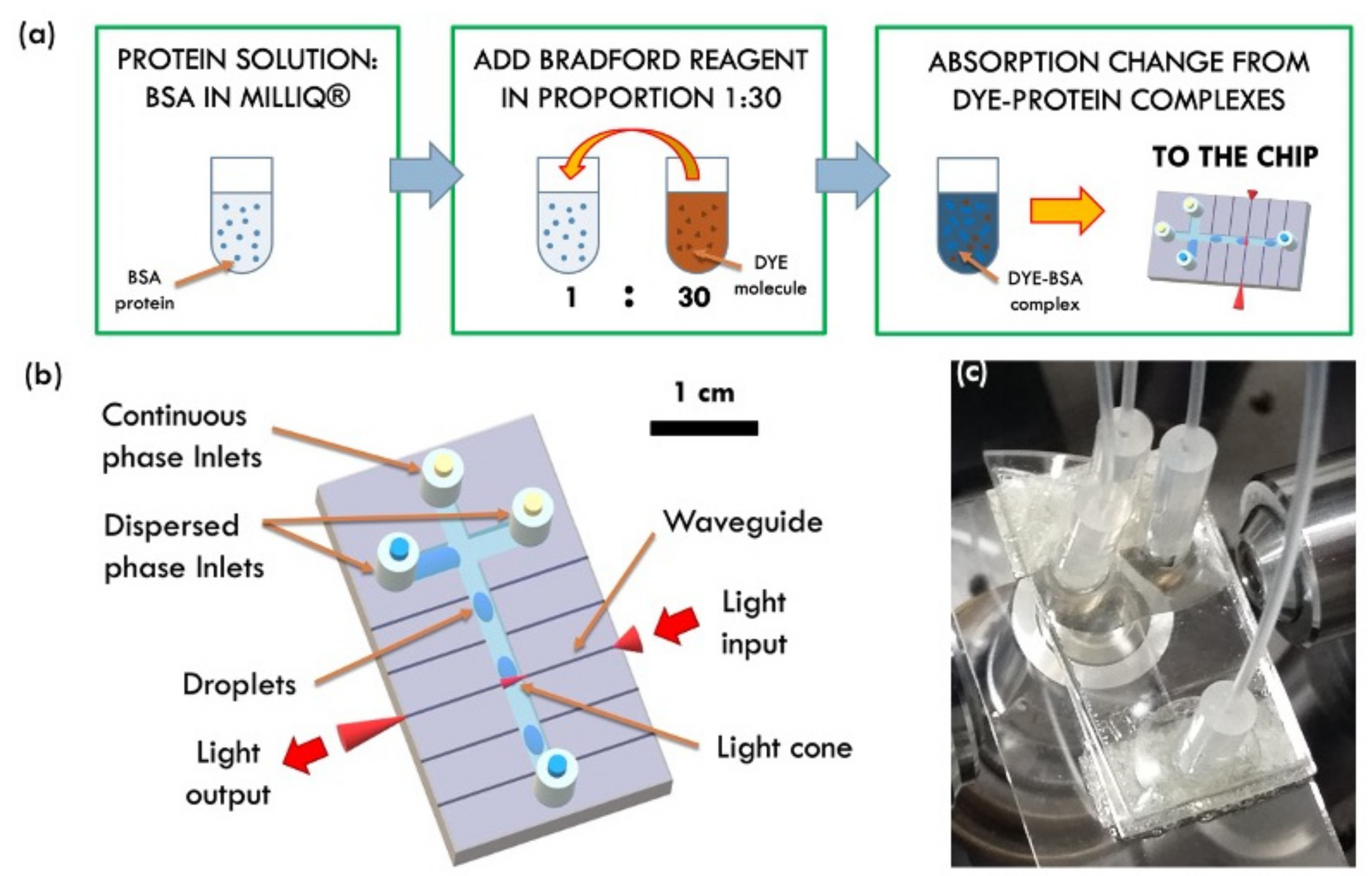 Sensors 22 01144 g001