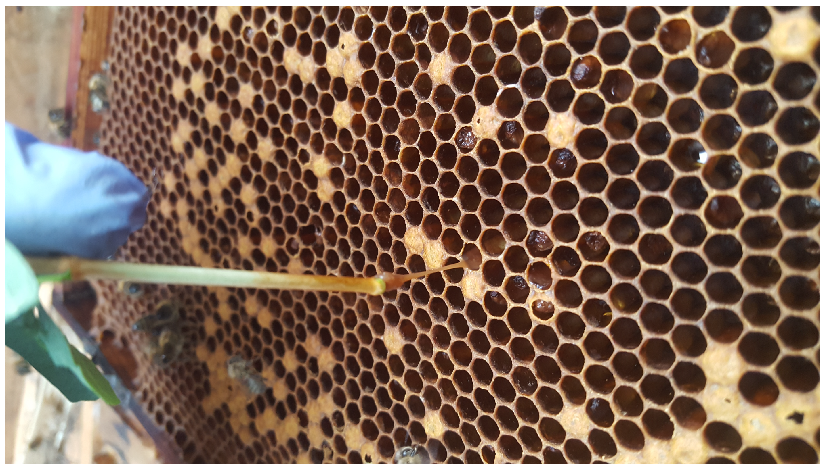 Sensors 22 01148 g001