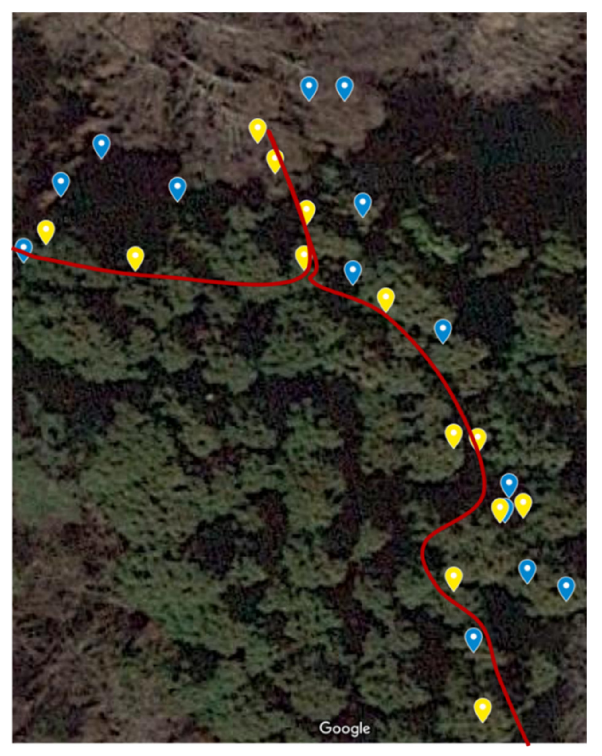 Sensors 22 01149 g011