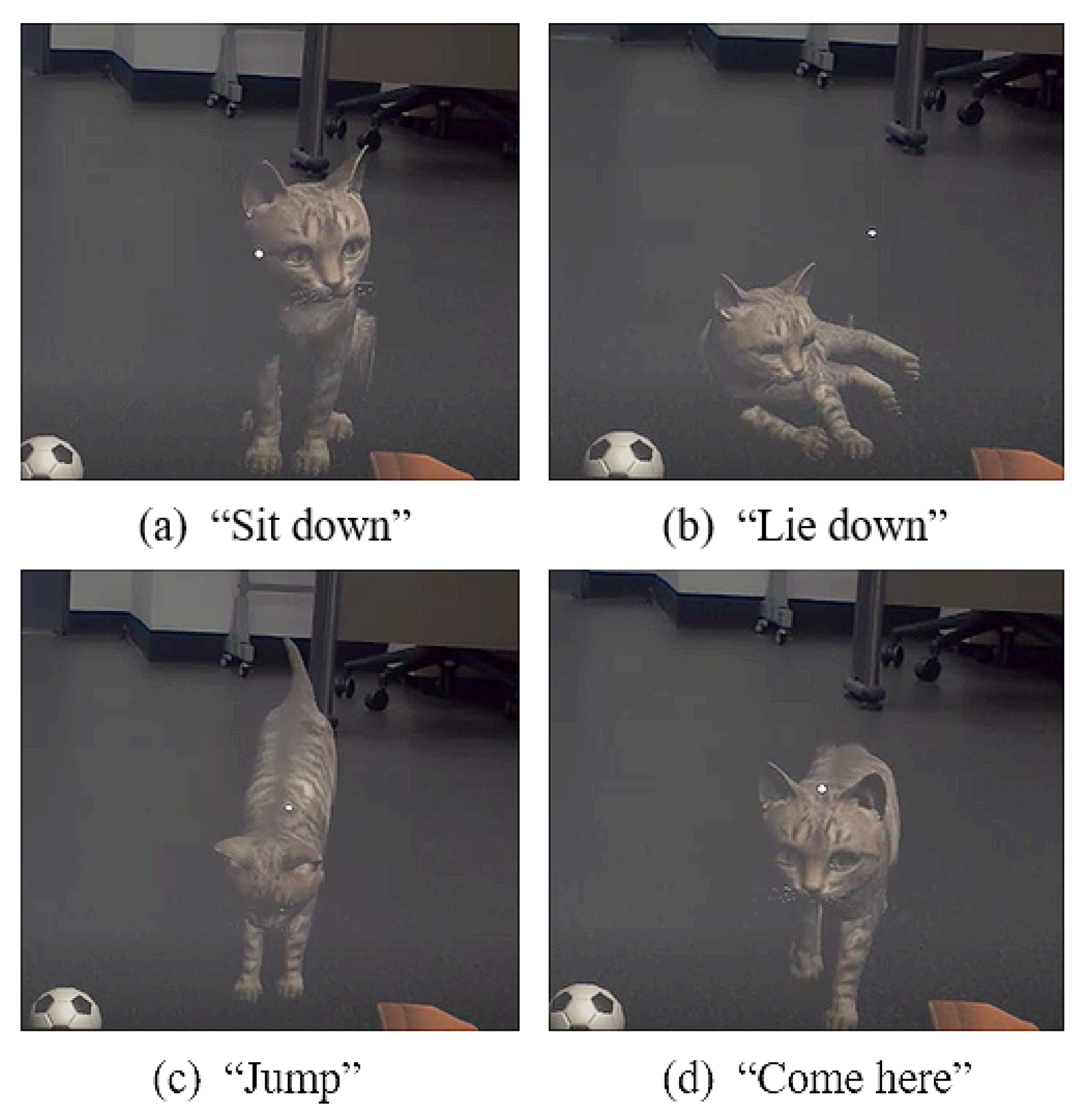 Sensors 22 01159 g004