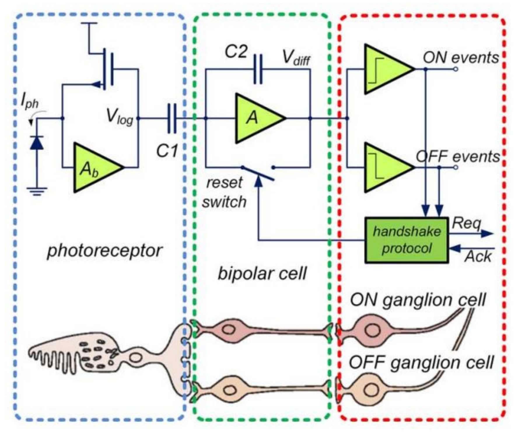Sensors 22 01201 g001 Sensors 22 01201 g001