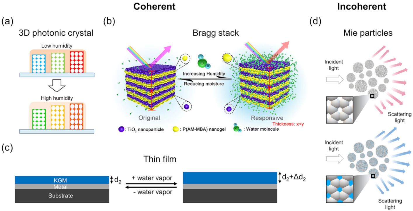 Sensors 22 01251 g010