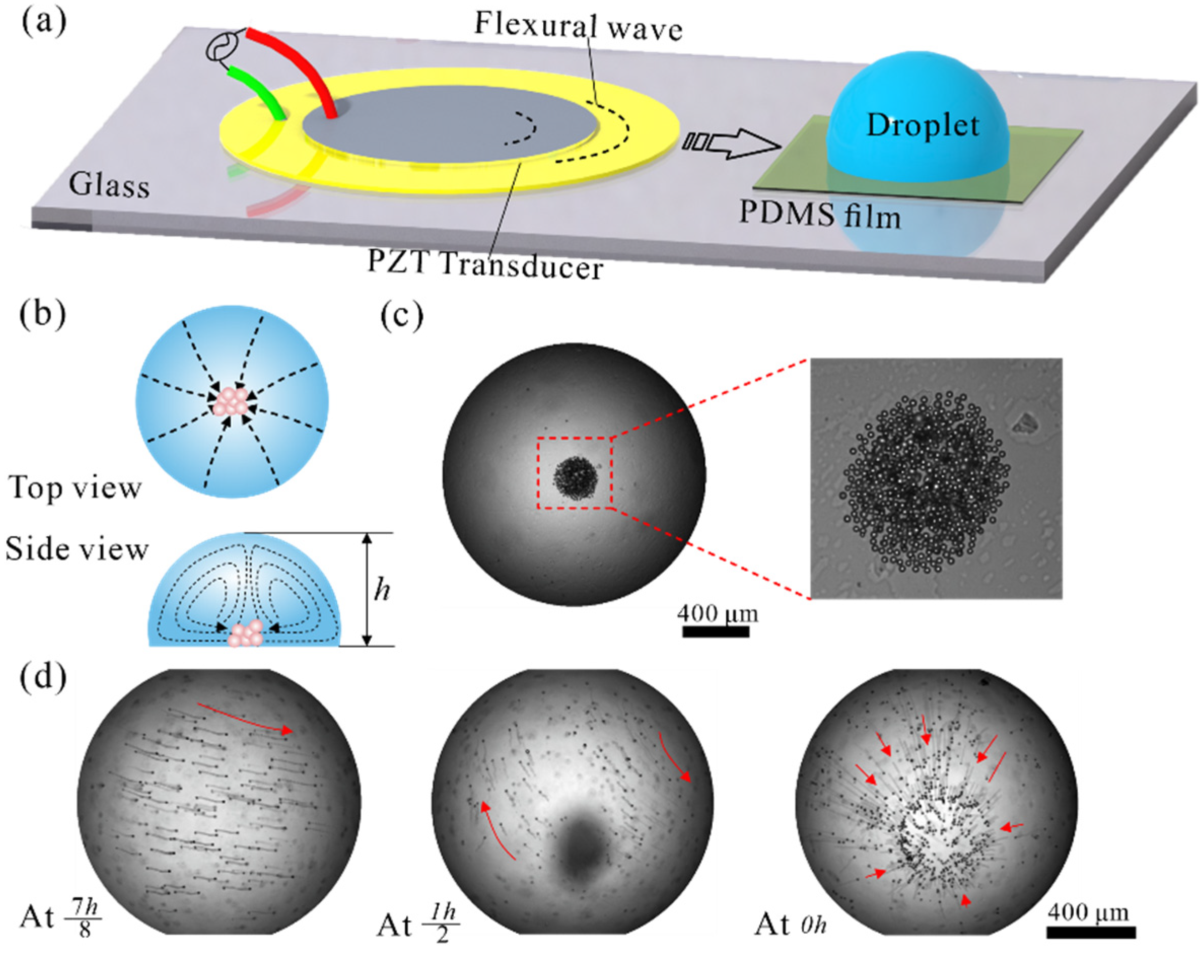 Sensors 22 01269 g001