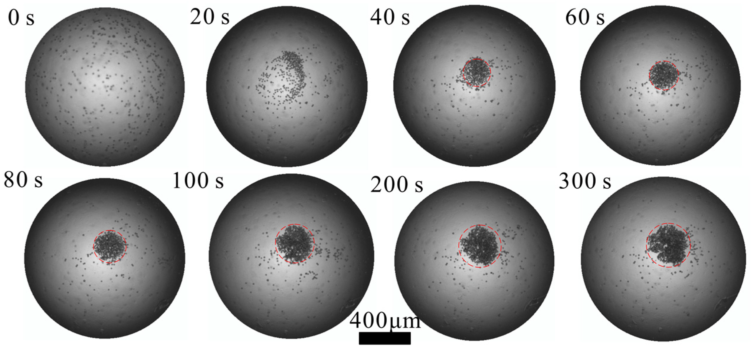 Sensors 22 01269 g005