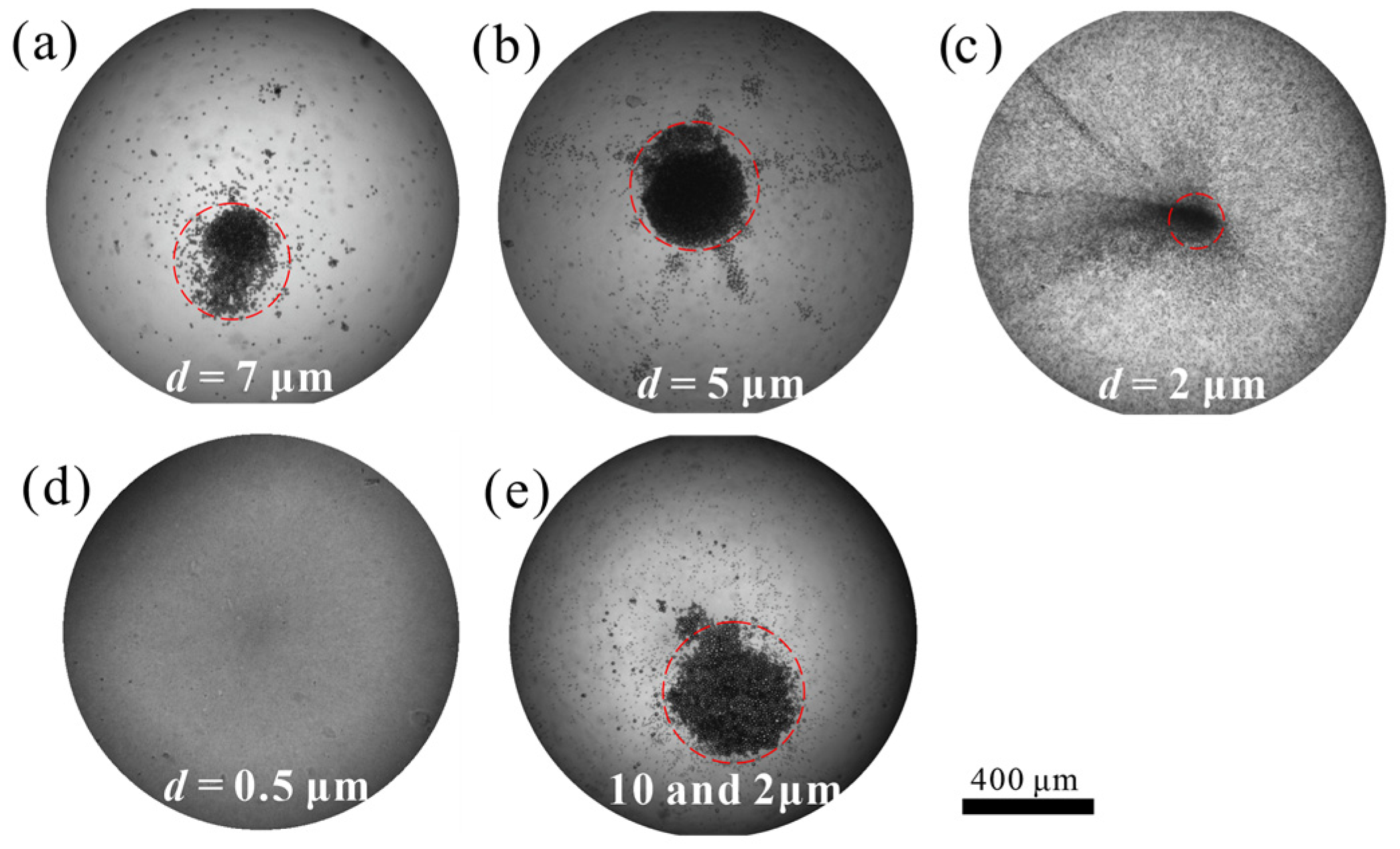Sensors 22 01269 g006