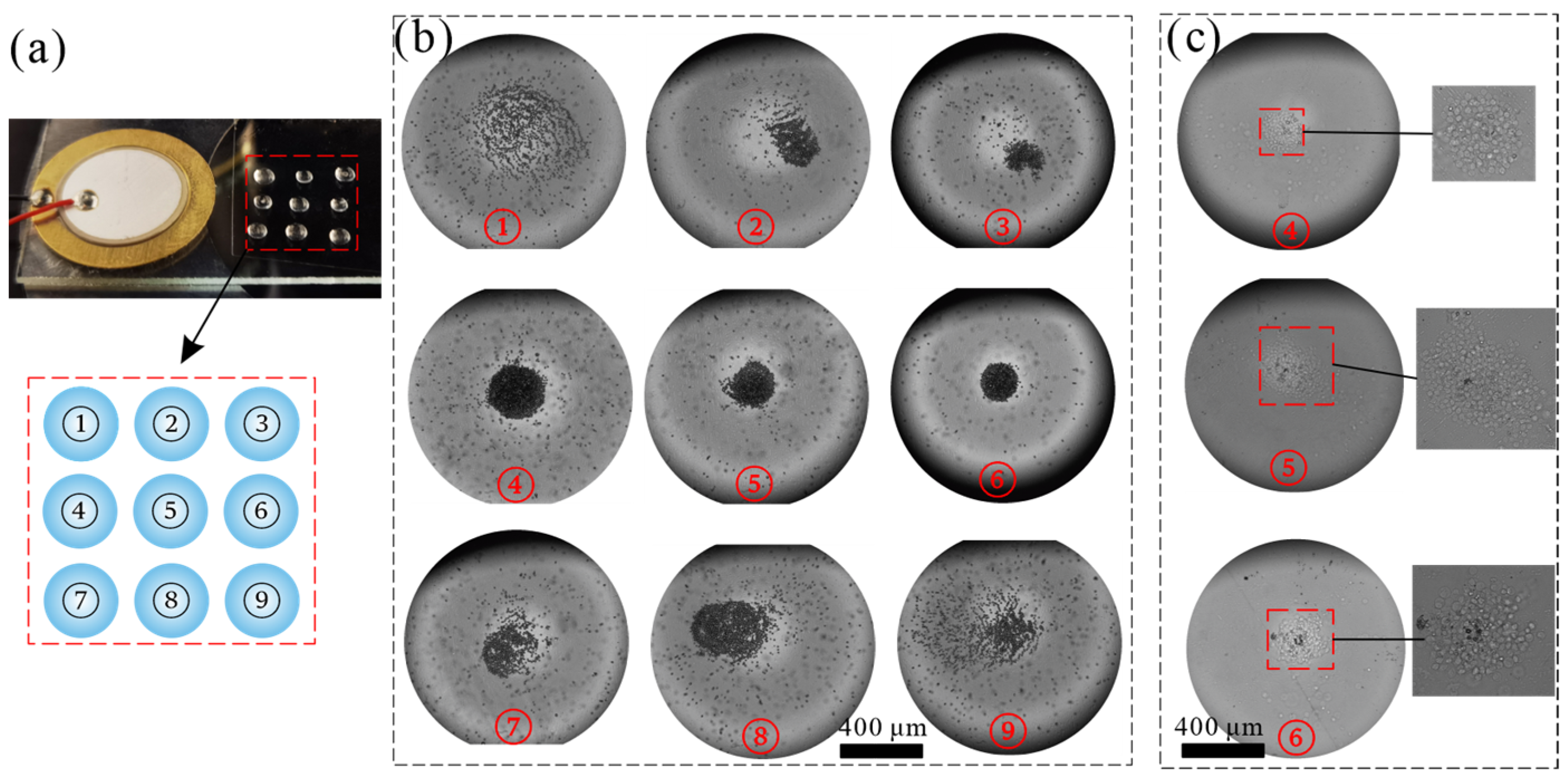Sensors 22 01269 g007
