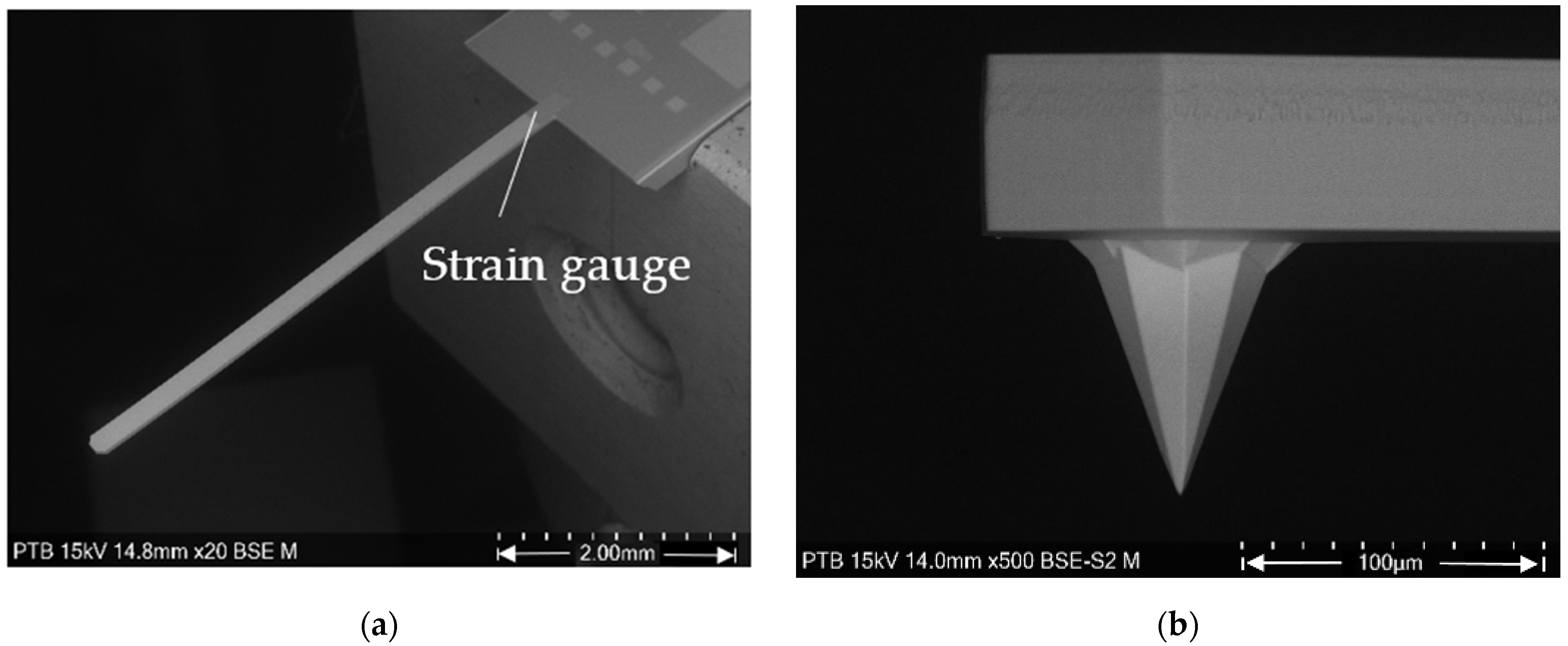 Sensors 22 01298 g001 Sensors 22 01298 g001