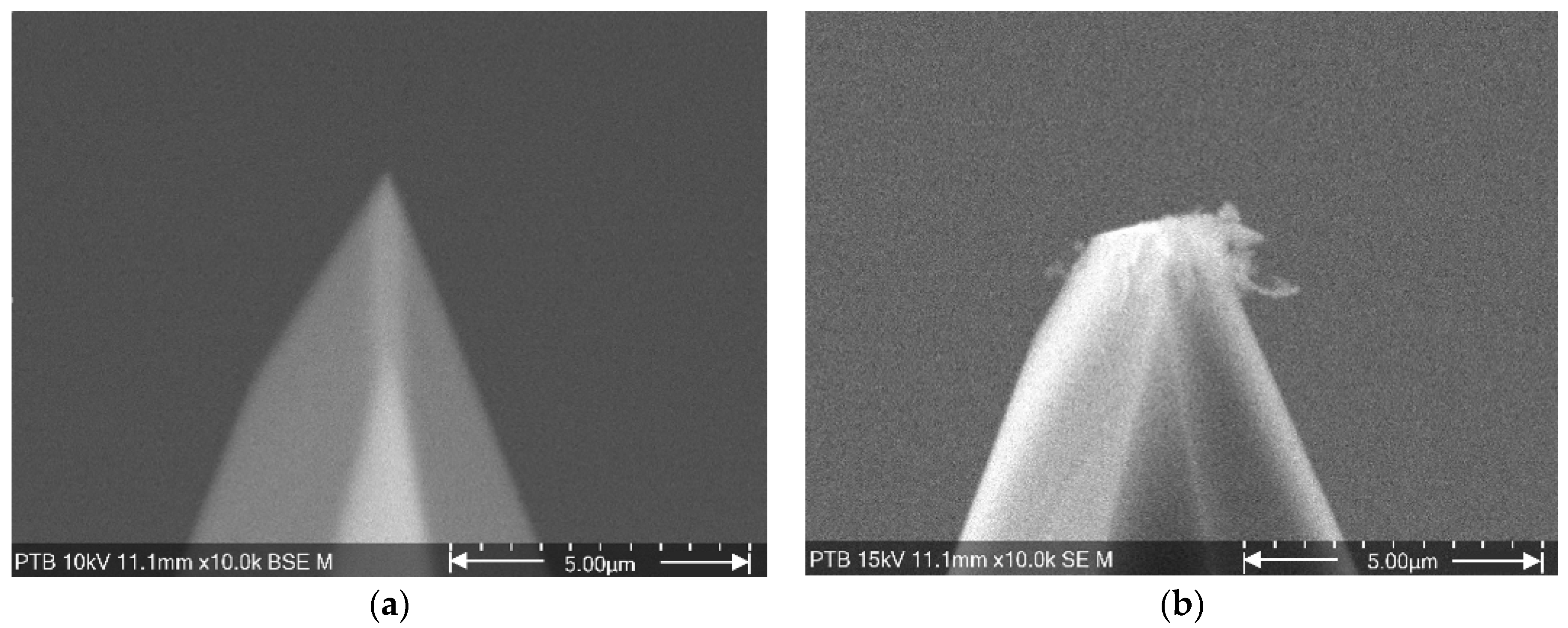 Sensors 22 01298 g002 Sensors 22 01298 g002