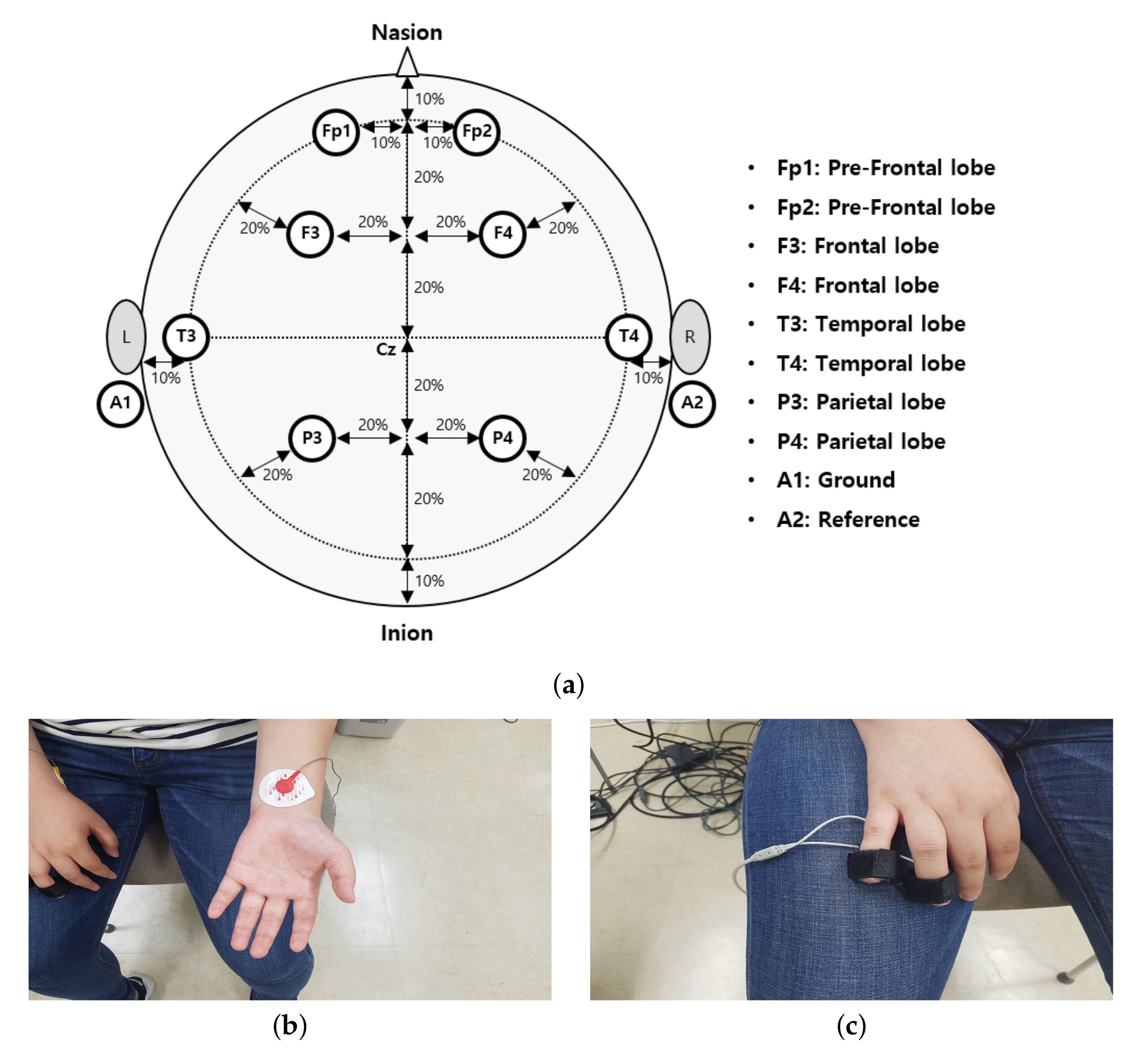Sensors 22 01314 g005