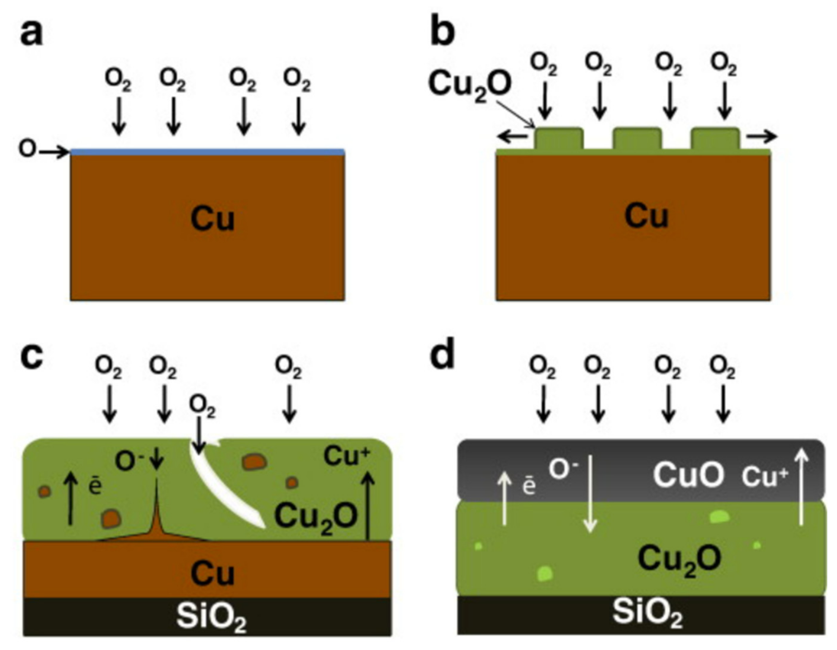 Sensors 22 01359 g005
