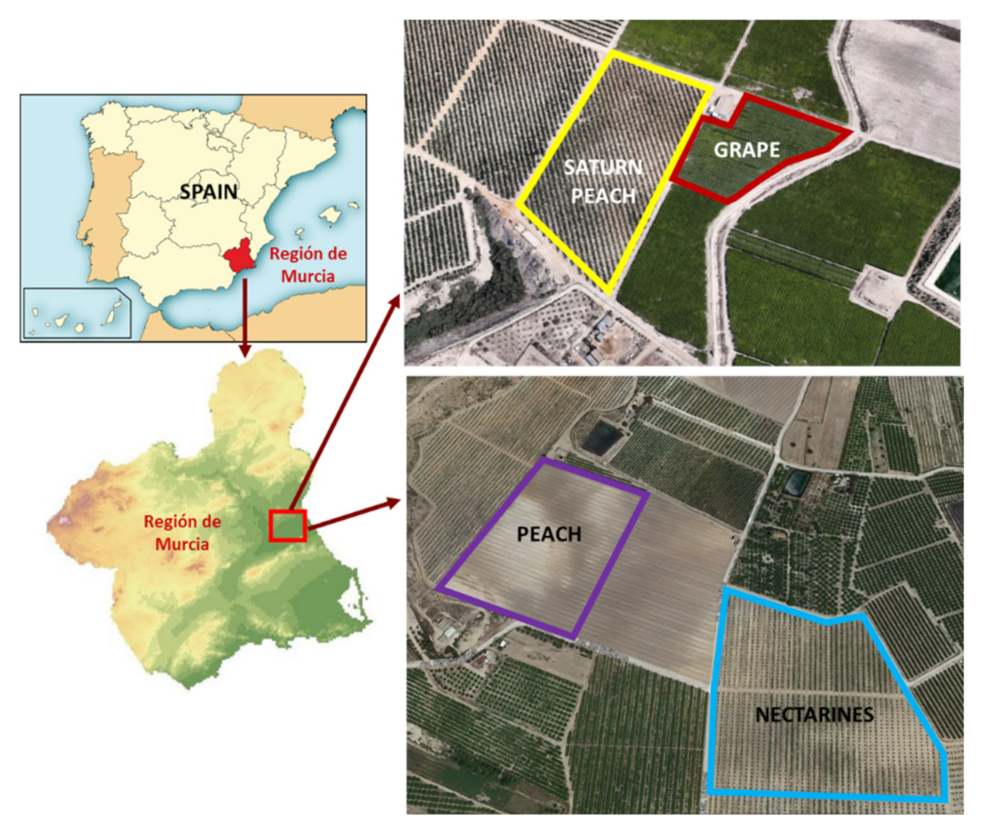 Sensors 22 01365 g001