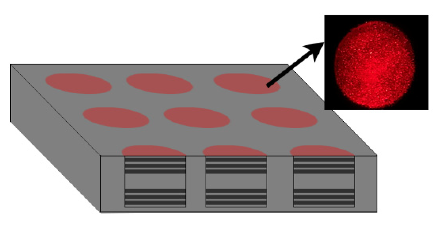 Sensors 22 01366 g013