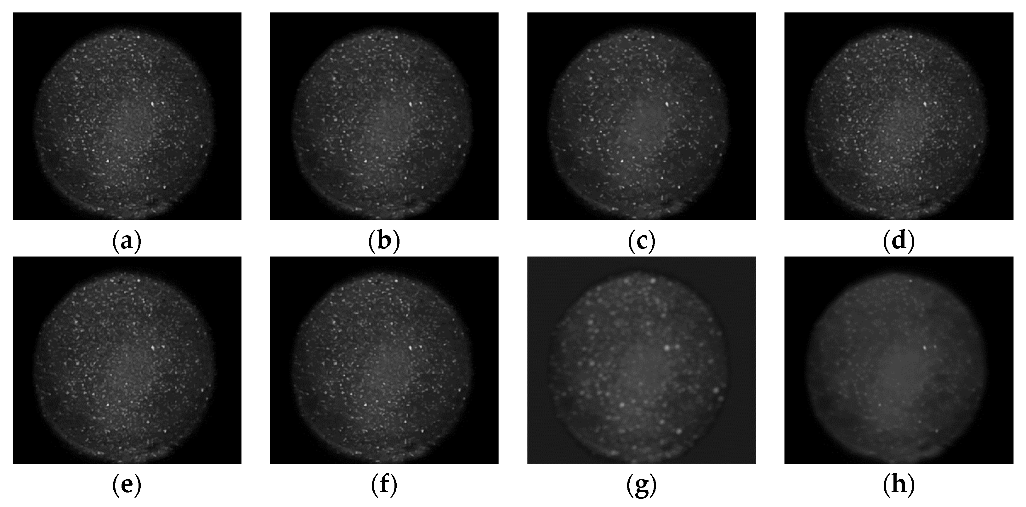 Sensors 22 01366 g015