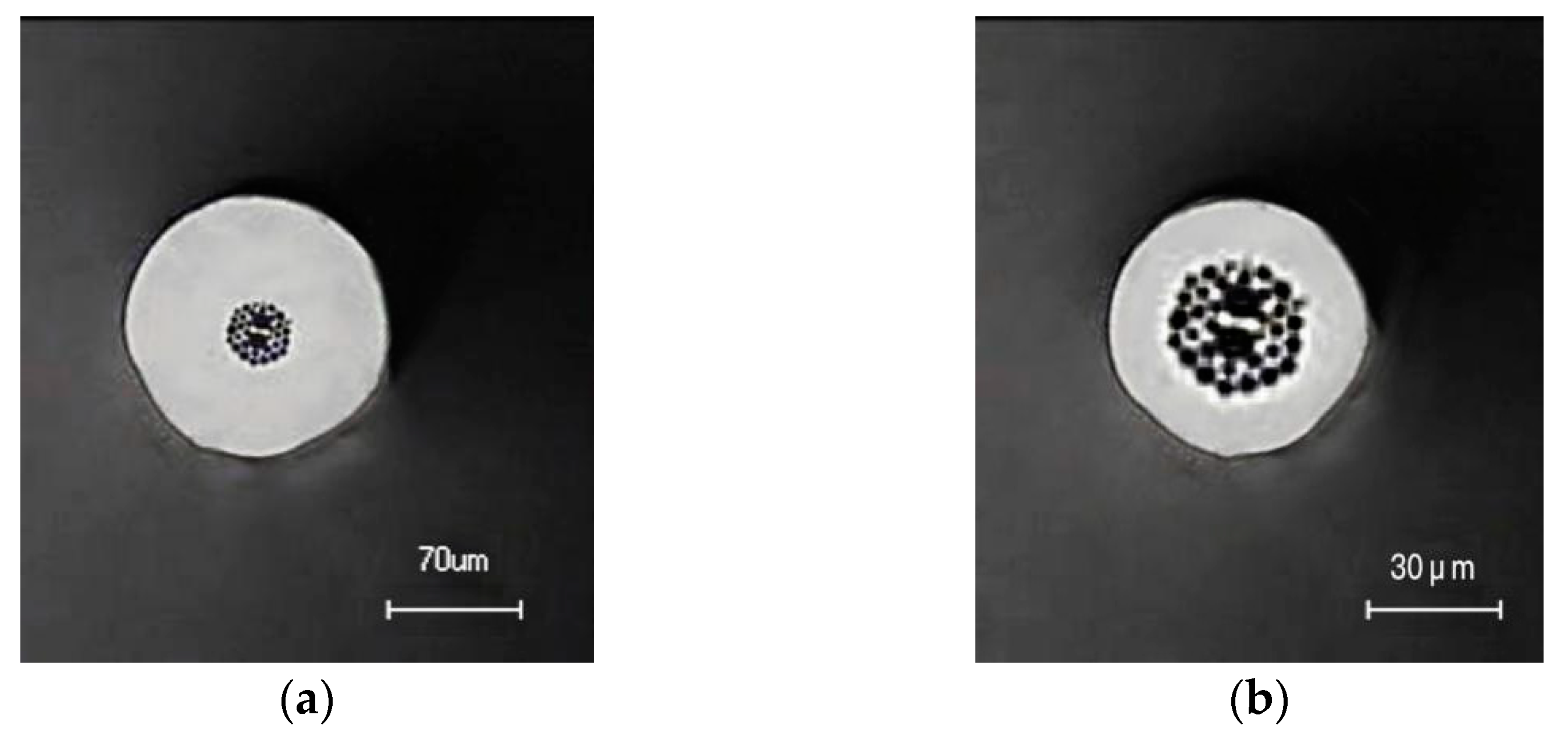 Sensors 22 01447 g002