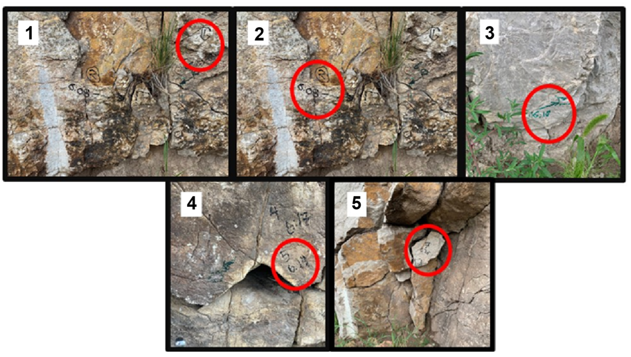 Sensors 22 01458 g007