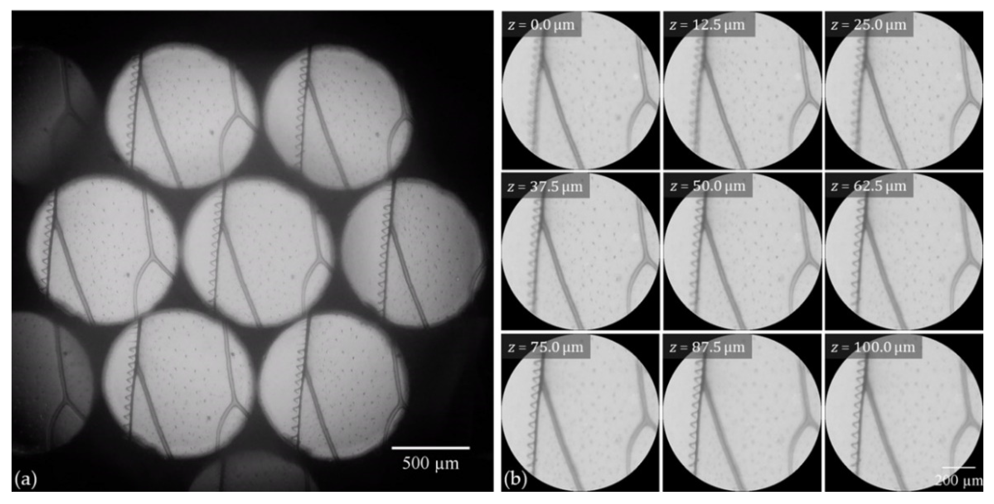 Sensors 22 01459 g004