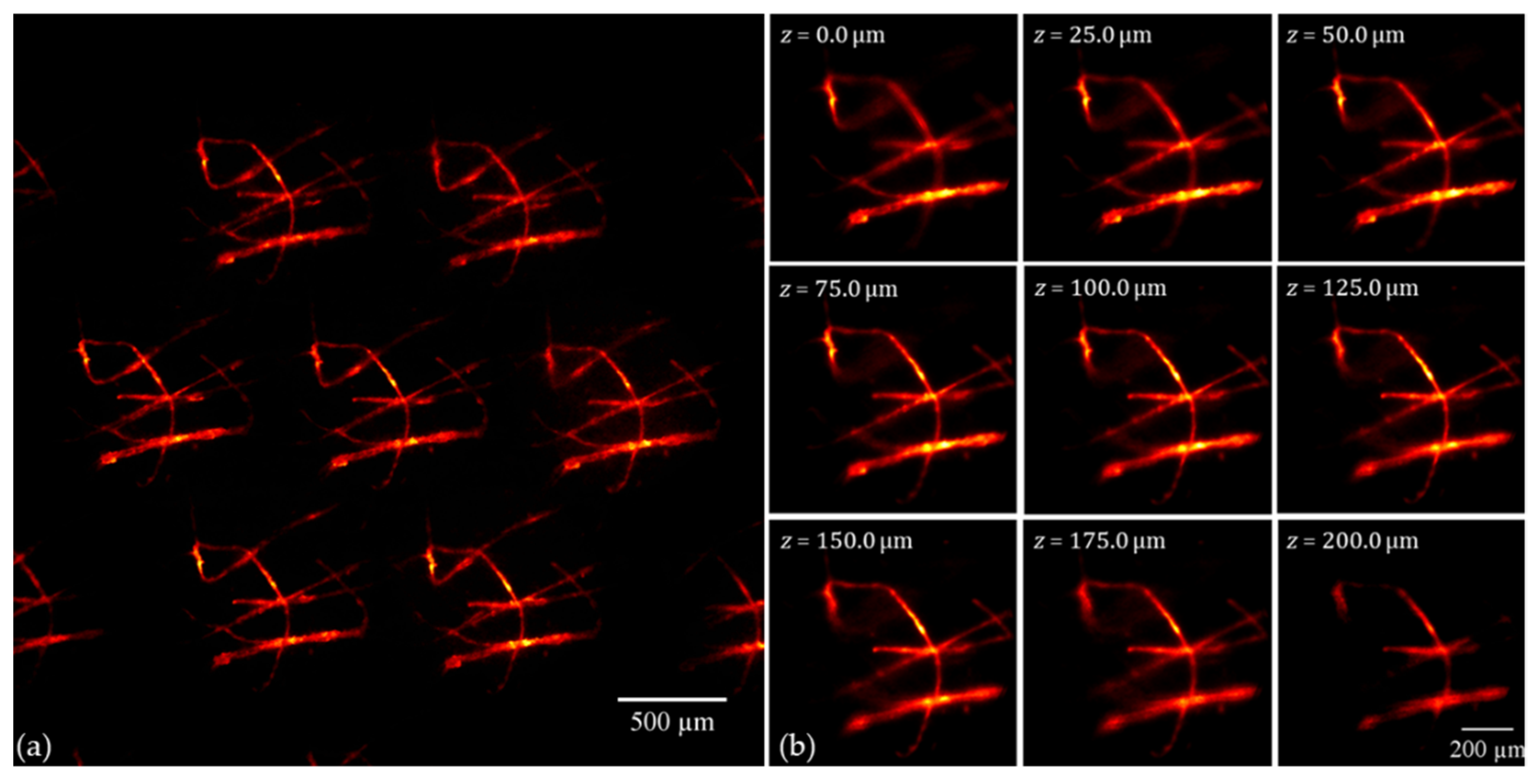 Sensors 22 01459 g005